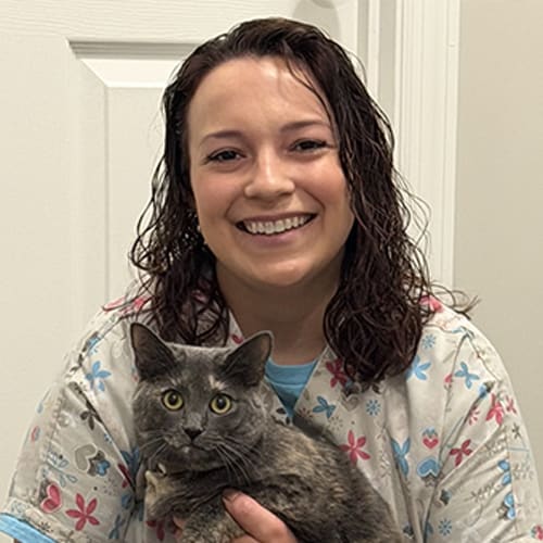 Dr. Hannah Sparling, St. Louis Veterinarian